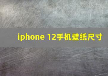 iphone 12手机壁纸尺寸